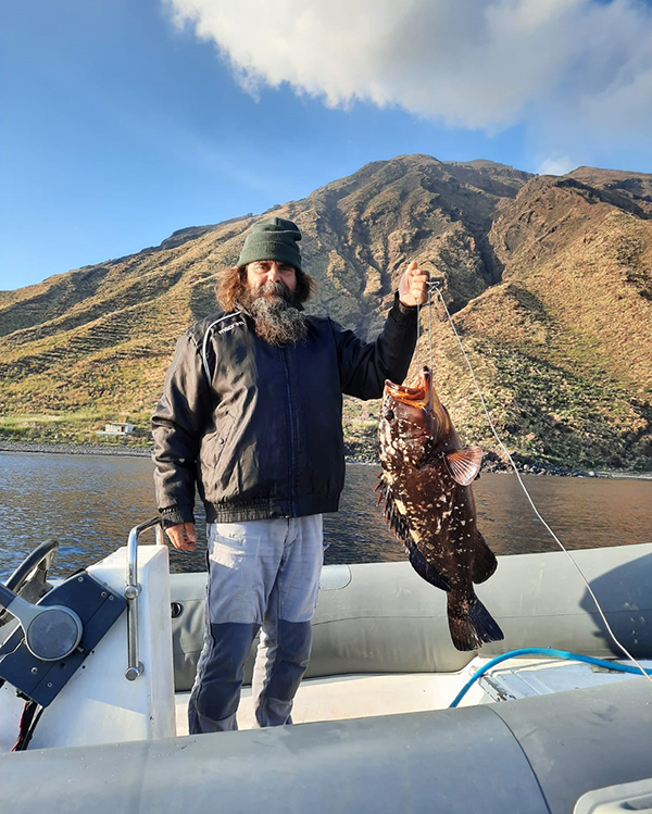 Olive tree at Costa Mandorla